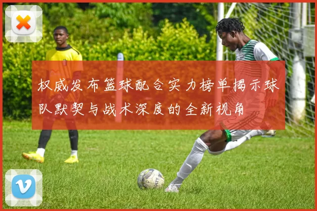 权威发布篮球配合实力榜单揭示球队默契与战术深度的全新视角